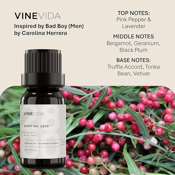 VINEVIDA [10mL] Bad Boy (Men) Fragrance Oil for Candle Making - Natural Candle Oil Scents - Soap Making Essential Oil - Made in USA