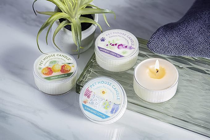 Pet House Mini Candles for Pet Odor Made with Natural Soy Wax, Plant Based, Dog and Cat Friendly Scented, Sunwashed Cotton Pack of 3