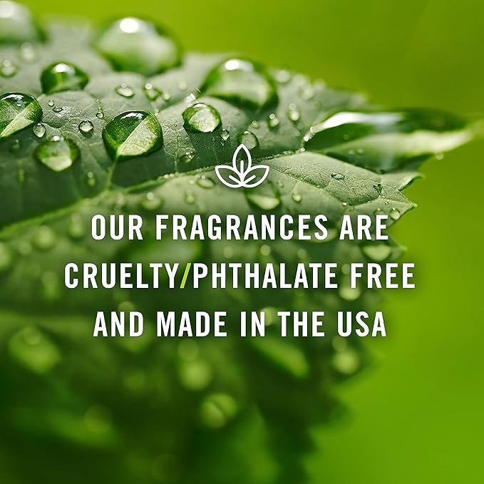 P&J Trading Fragrance Oil for Diffusers for Home - Cotton Candy 10ml Fragrance Scents for Candle Making - Soap Making Supplies & Car Diffuser Scents