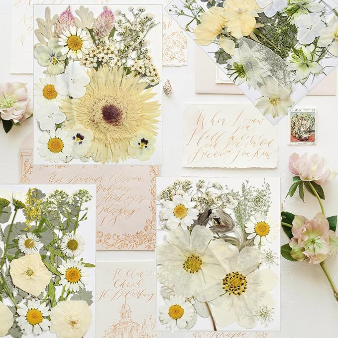 CONVELIFE Dried Flowers for Resin, Vacuum Packed DIY Pressed Flowers for Epoxy, Jewelry, Candles, Soap, Nail Production (80PCS White Dried Flowers)