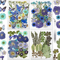 CONVELIFE Pressed Flowers112 Pcs , Blue Natural Dried Pressed Flowers with 10Butterfly Stickers, Pressed Leaves kit for Scrapbook Supplies Card Making Resin Jewelry Making Soap Candle DIY Crafts