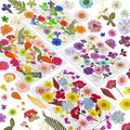 150 Pcs Pressed Flowers Bulk Dried Flower for Crafts, Dried Wildflowers Leave Natural with Tweezer for Resin Mold Scrapbooking Nail Soap Making DIY