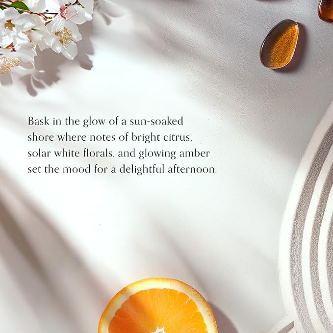 Chesapeake Bay, 14.5oz Salted Sands Scented Candle, Mood Evoking Fragrance, Sea Glass-Inspired Jar, Premium Soy Blend Wax with Essential Oils, Coastal Fragrance for Home Décor or Gifting