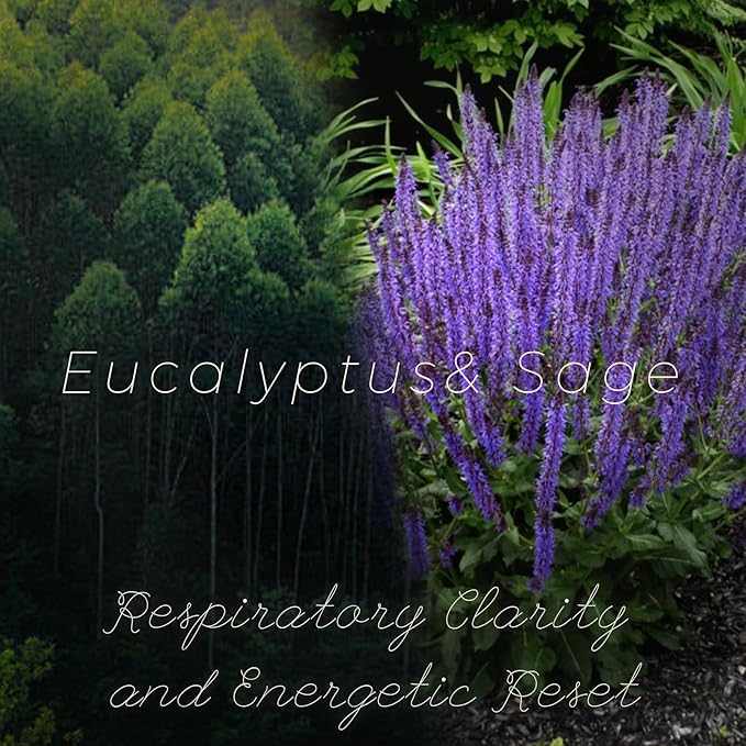 Eucalyptus & Sage Soy Scented Candles for Home- 5.3oz 35H Natural Soy Wax Aromatherapy Jar Candle with Strong Scent, Decorative Aesthetic Candles for Relax, Meditation, Bathroom, Luxury Gift for Women