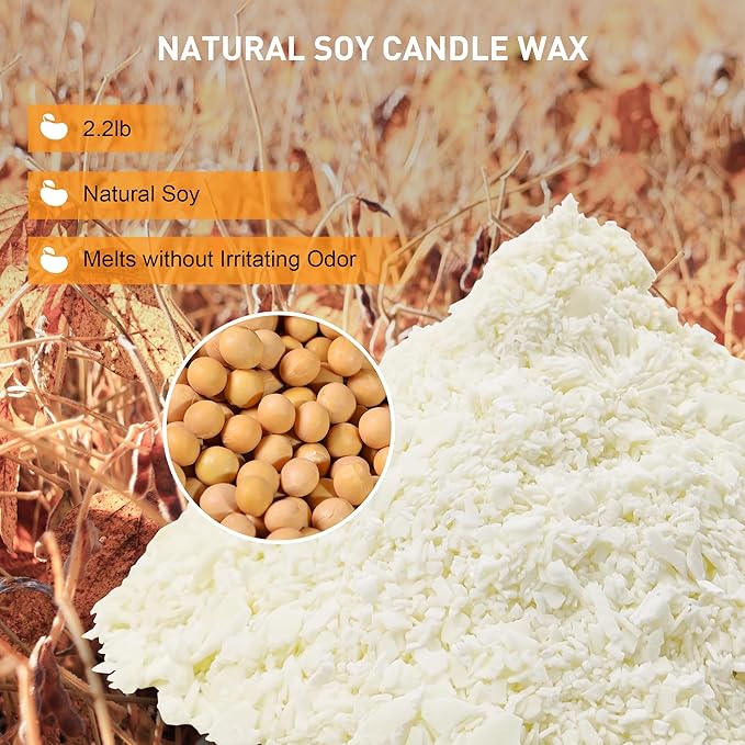 Candle Making Wax Soy Wax for Candle Making Supplies, 2.2lb Natural Soy Wax Flakes, Paraffin Wax for Candle Making Kit, 100 Cotton Candle Wicks &100 Wick Stickers & 2 Wicks Holder