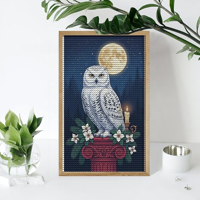 KIVJMSIDJA Snowy Owl & Candle Glow - Winter Night Scene Diamond Art Kits for Adults for Beginners, 5D Full Diamond Art Paint 12"x20"