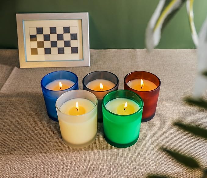 12 Pack Glass Candle Jars for Making Candles, 10 OZ Empty Candle Tins with Lids, Bulk Candle Containers - Dishwasher Safe, Frosted
