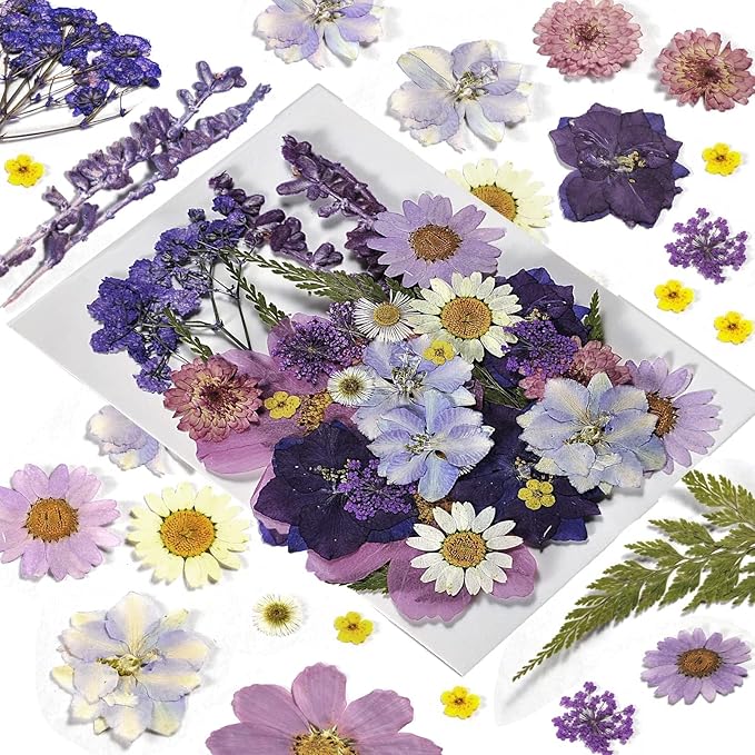 CONVELIFE Pressed Flowers Purple 33 Pcs of 12 Types, Real Dried Flowers for Resin Plant Herbarium, Dried Flowers for DIY Jewelry Molds, Art Crafts Scrapbooking, Candle, Soap Making