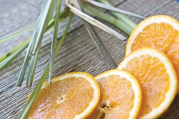 Root Candles Scented Candles in Travel Tin 24-Hour Honeycomb Traveler Handcrafted Beeswax Blend Candle, 4-Ounce, Tangerine Lemongrass