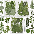 CONVELIFE 63 Pcs Dried Flowers for Resin, 21 Styles Pressed Leaves , Natural Dry Leaves for Pressed Leaf Art Craft DIY Embellishment Decorations
