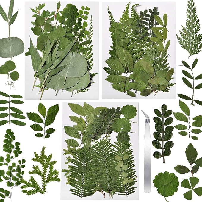 CONVELIFE 63 Pcs Dried Flowers for Resin, 21 Styles Pressed Leaves , Natural Dry Leaves for Pressed Leaf Art Craft DIY Embellishment Decorations