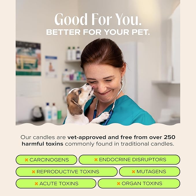 Companion Candles You Got This! Pet-Friendly Scented Candle – Tropical Nectar & Fruits Fragrance - Coconut Soy Wax Candle with Wooden Wick, Approx. 50-Hour Burn Time, Made in USA, 11.8 oz