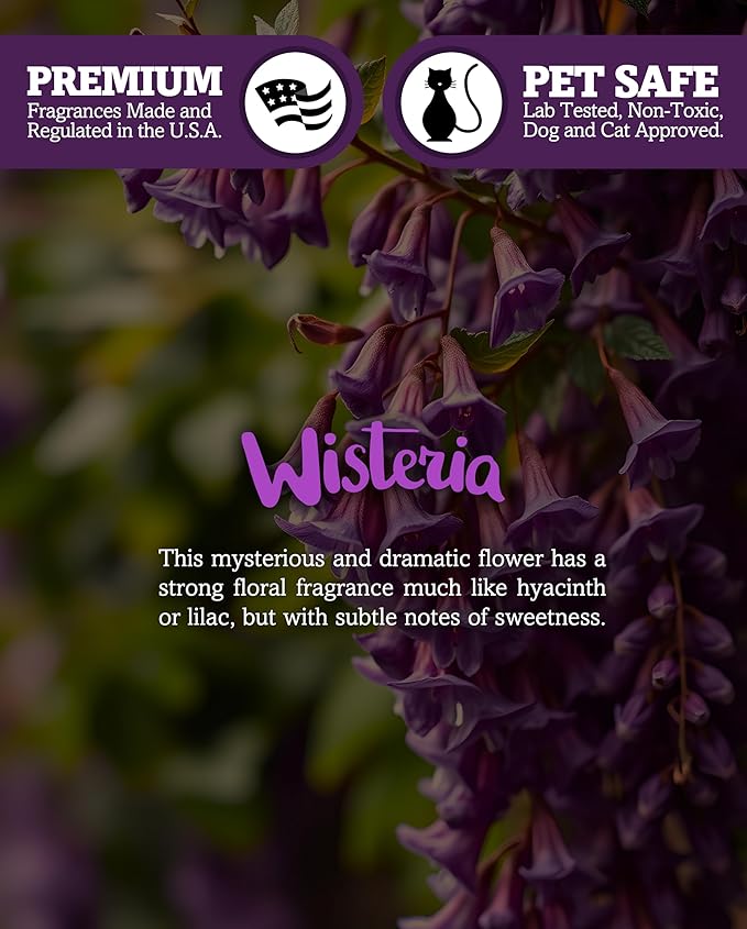 Pure Wisteria Wax Melts Multi Pack - Formula 117 - 2 Highly Scented 3 Oz. Bars (6 Oz. Total) - Made With Essential & Natural Oils - Flower & Floral Air Freshener Cubes Collection