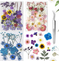 Dried Flowers Dried Flower Real Dried Pressed Flowers for Jewelry Candle Card Making DIY Resin Ornaments Nail Art Flowers Decorations