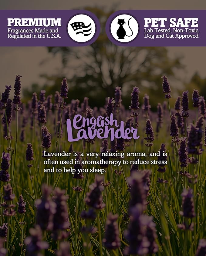 Pure English Lavender Wax Melts Multi Pack - Formula 117 - 2 Highly Scented 3 Oz. Bars (6 Oz. Total) - Made With Essential & Natural Oils - Flower & Floral Air Freshener Cubes Collection