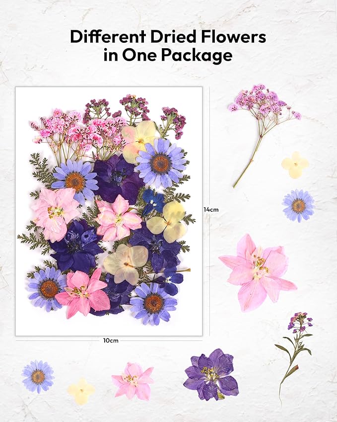 Dried Flowers, Resiners 100Pcs Pressed Flowers for Craft Purple Real Natural Dried Flowers Dry Leaves Kit for DIY Making Crafts Resin Soap Candle Scrapbook Supplies Card Making Jewelry