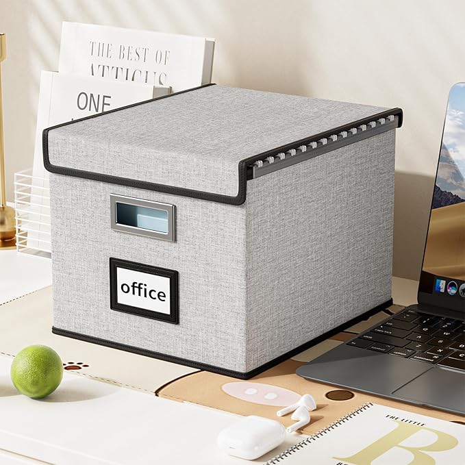 Huolewa File Organizer Box with Lid, Collapsible File Folder Organizer for Office Document Storage, Filing Box with Plastic Slide for Letter Size Hanging File Folders(1 Pack, Light Grey)