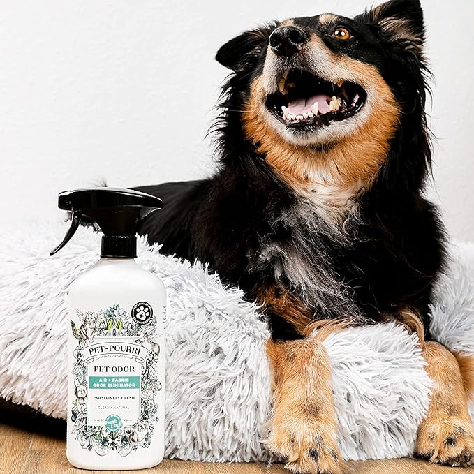 Pet-Pourri Pawsitively Fresh Pet Odor Freshener Bundle - 16 Fl Oz Air + Fabric Spray, 7.5 Oz Candle Jasmine, Fresh Air and Pear
