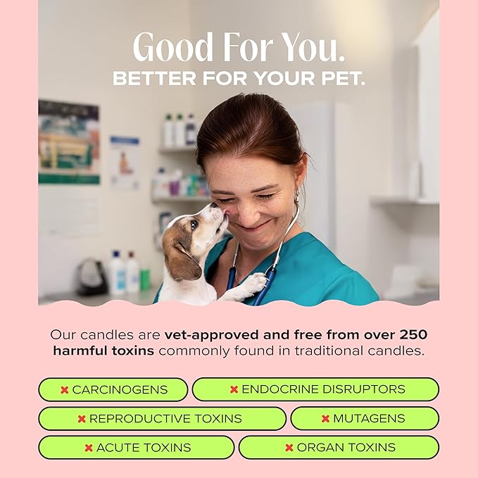 Companion Candles Anywhere with You Pet-Friendly Scented Candle – Grapefruit & Vanilla Fragrance - Coconut Soy Wax Candle with Wooden Wick, Approx. 50-Hour Burn Time, Made in USA, 11.8 oz
