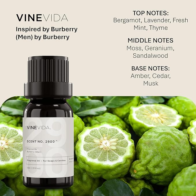 VINEVIDA [10mL] No.2900 (Men) Fragrance Oil for Candle Making - Natural Candle Oil Scents - Soap Making Essential Oil - Made in USA