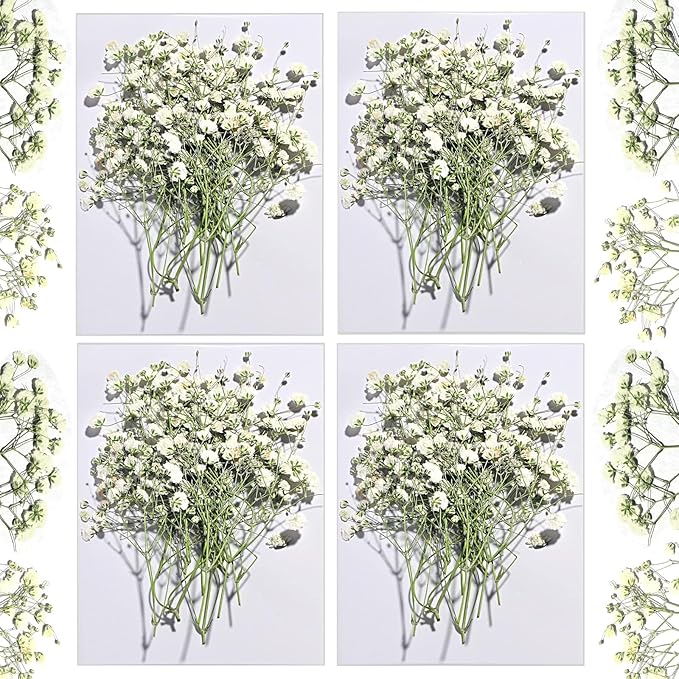 CONVELIFE Dried Babys Breath White, 48pcs Dried Flowers for Resin Pressed from Natural Flowers, Natural Pressed Flowers for Wedding Resin Art Craft DIY Card Making Home Party Decor (White)
