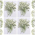 CONVELIFE Dried Babys Breath White, 48pcs Dried Flowers for Resin Pressed from Natural Flowers, Natural Pressed Flowers for Wedding Resin Art Craft DIY Card Making Home Party Decor (White)
