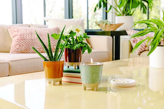 Modern Sprout Glow and Grow Kit - 2 in 1 Scented Candle that Grows into a Daisy Plant - 12 oz Soy Candle with 78 hr Burn time in Glaze Ceramic Vessel - Planter Ideal for Home Decor Aesthetic
