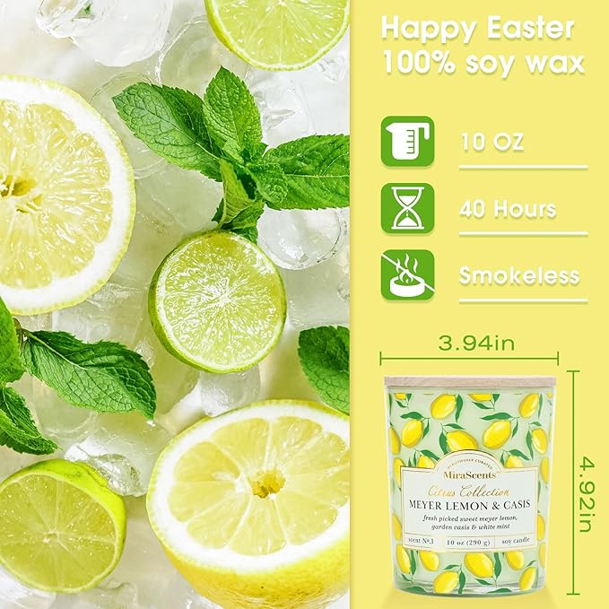 Lemon Candle,Lemon Scented Candles,Spring Summer Scented Candle for Home & Kitchen, Natural Soy Wax Candles,Candles Gift for Womens,Valentines Gift,10oz