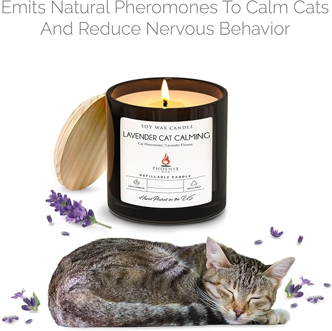 Phoenix Wick Candle Making Kit – Transform Anything Into A Candle – Candle Making Kit with Wick + 7oz Wax (Cat Calming Scent)