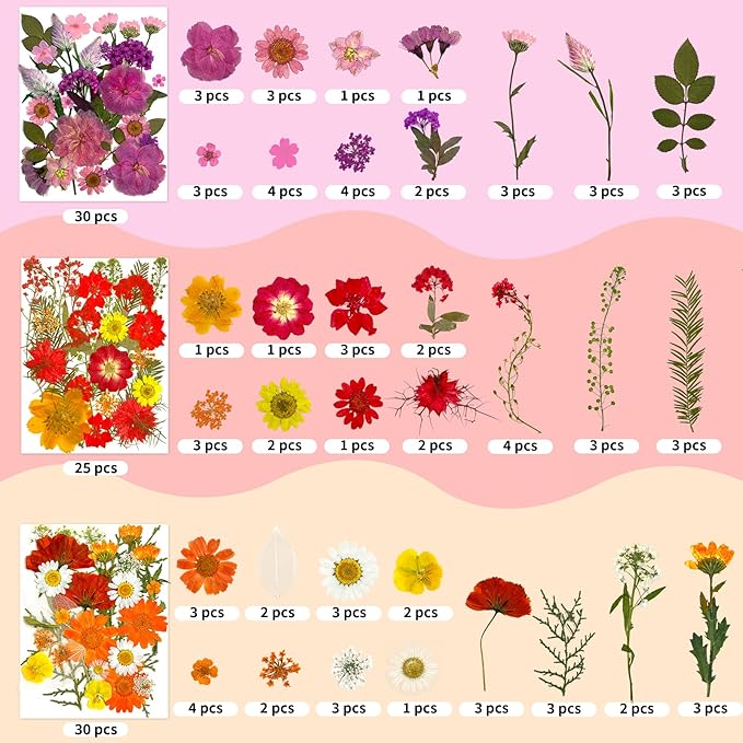 207 Pcs Dried Pressed Flowers for Crafts, Dried Pressed Flowers for Resin, Bulk Natural Dried Flowers Kit with Butterfly Stickers&Tweezers for DlY Resin Molds, Candles, Soap,Jewelry Making, Art Crafts