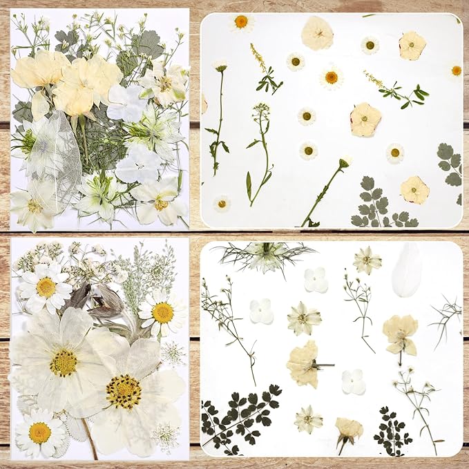 CONVELIFE Dried Flowers for Resin, Vacuum Packed DIY Pressed Flowers for Epoxy, Jewelry, Candles, Soap, Nail Production (80PCS White Dried Flowers)