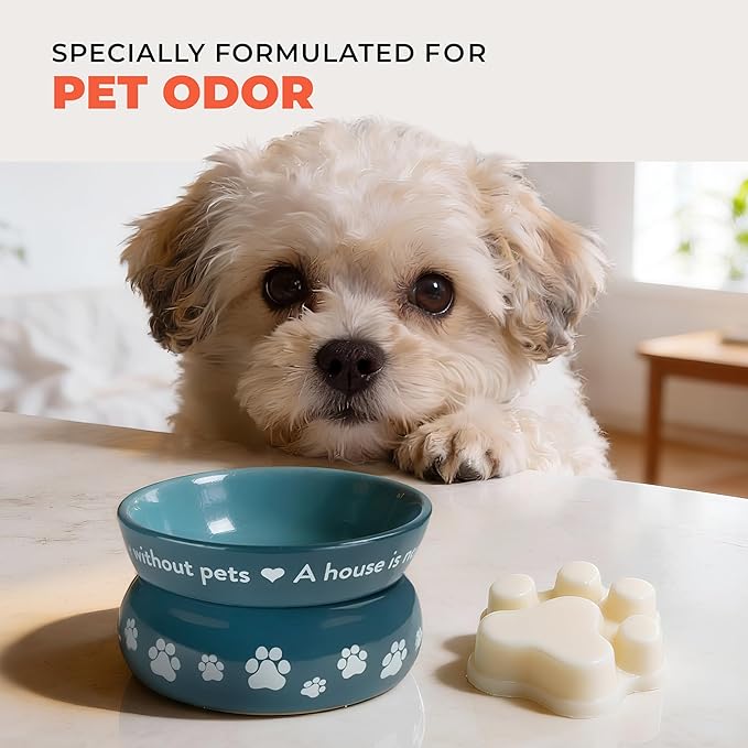 Pet House Mango Peach Scented Wax Melts - Long-Lasting Plant Based/Soy Wax Melts for Pet Odor Pack of 2