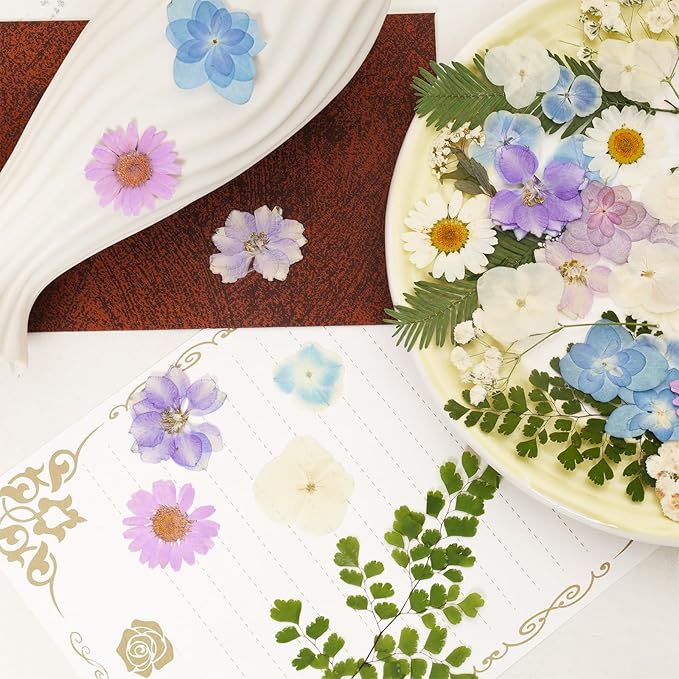 Dried Pressed Flowers Real Pressed Flowers Natural Dry Leaves Bulk Mixed Colorful Herbs Kit with Tweezers for Scrapbooking DIY Candle Jewelry Crafts Making Nails (White, Purple, Blue)