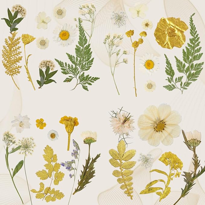 85 Pcs Dried Flowers for Crafts, Real Natural Dried Pressed Flowers in Golden & White for Resin, DIY Art, Jewelry, Candle & Soap Making – Tweezers Included