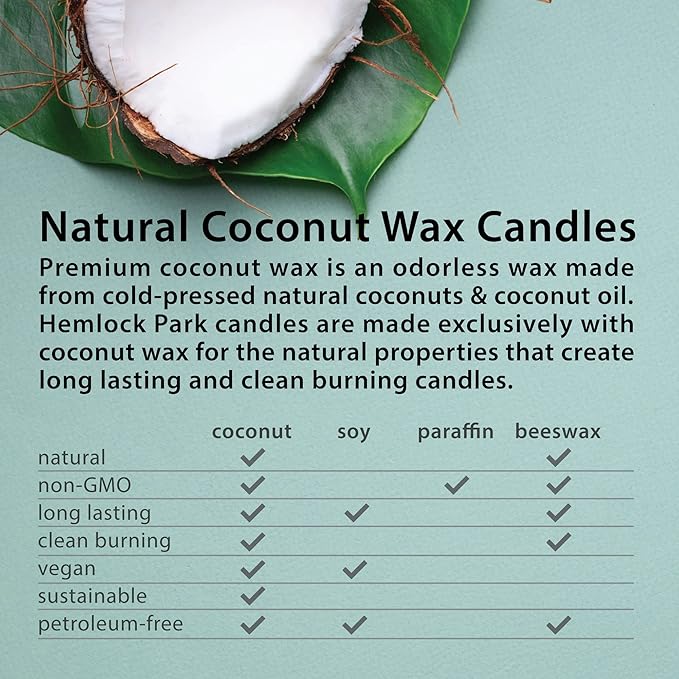 Hemlock Park Frosted Glass Wood Wick Candle Handcrafted with Natural Coconut Wax (Standard 8 oz, Bergamot Cedar)