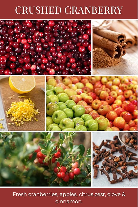 ECO CANDLE CO. Tea Light Candles, Crushed Cranberry, 10-Pack - Scents of Fresh Cranberries, Apples, Citrus, Clove & Cinnamon - Recyclable, 100% Soy Wax, No Lead, Kraft Paper Label & Lid, Hand Poured