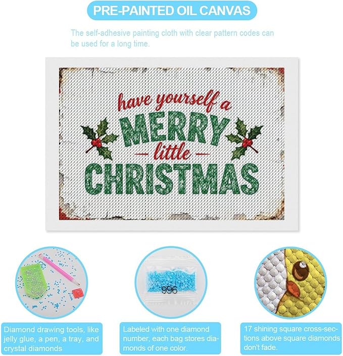 AIVKIEJK Diamond Painting Kits for Adults - Merry Christmas Santa Painting DIY 5D Full Drill Diamond Dots Paintings with Diamonds Gem Art and Crafts Home Decor 8"x12"