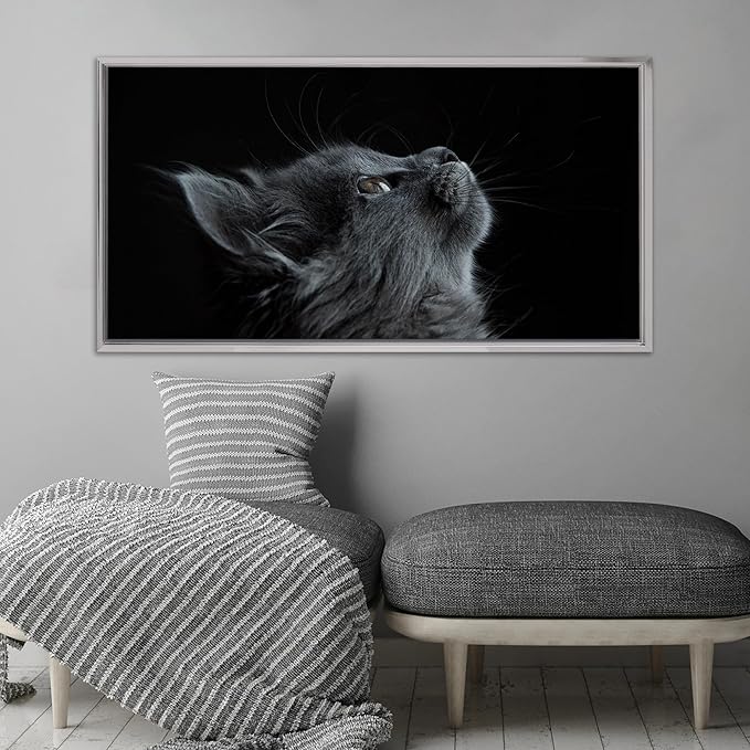 Pixy Canvas Floater Frame 16x20 for 3/4 (0.75) inch Deep Canvas Paintings/Canvas Prints/Wood Canvas Panels/Wall Art/Wall Decor/Home Decor/Artwork (Chrome, 16 x 20 inch, Landscape)
