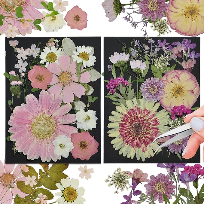 CONVELIFE White Dried Pressed Flowers, 40Pcs Real Nature Flowers Set with Tweezers, Pressed Flowers for Resin DIY Jewelry Candle Soap Vase Making Nail Card Scrapbook Art Craft Floral Decors
