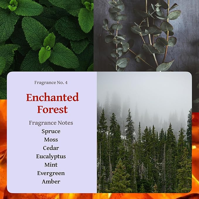 RUTH & ROSE | Blue Spruce (Enchanted Forest) | 100% Beeswax Scented Candles for Home, 8oz, +65 Hours Burn Time, Aromatherapy Non Toxic Candles, Gift for Women & Men, Perfect for Travel or Gifting