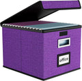 Huolewa File Organizer Box with Lid, Collapsible File Folder Organizer for Office Document Storage, Filing Box with Plastic Slide for Letter Size Hanging File Folders(1 Pack, Purple)