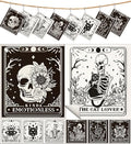 Miss Adola 8 Pack Reusable Kitchen Dishcloths - Absorbent, Fast Drying, Washable Swedish Towels with Cute Black Skull Design