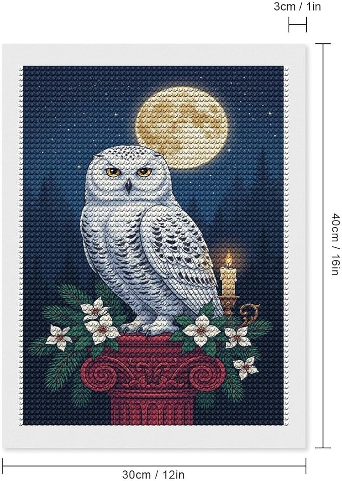 KIVJMSIDJA Snowy Owl & Candle Glow - Winter Night Scene Diamond Art Kits for Adults for Beginners, 5D Full Diamond Art Paint 12"x16"