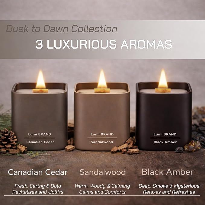 Set of 3 Premium Scented Soy Candles Gift Set | Dusk to Dawn Collection - Canadian Cedar, Black Amber & Sandalwood | Crackling Wood Wick | Luxury Candles for Relaxation, Home Décor, Gifts | 9.8oz Each
