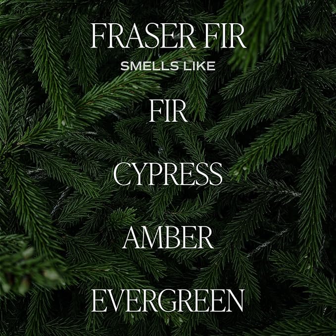 Sweet Water Decor Fraser Fir Candle - Evergreen, Cedar, Winter Holiday Scented Soy Christmas Candles for Home - 9oz Clear Jar, 40 Hour Burn Time, Made in The USA