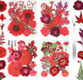 CONVELIFE Dried Flowers for Resin, Vacuum Packed DIY Pressed Flowers for Epoxy, Jewelry, Candles, Soap, Nail Production (80PCS Red Dried Flowers)