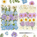 Dried Pressed Flowers Real Pressed Flowers Natural Dry Leaves Bulk Mixed Colorful Herbs Kit with Tweezers for Scrapbooking DIY Candle Jewelry Crafts Making Nails (White, Purple, Blue)