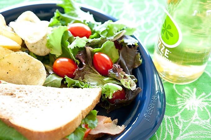 Preserve Everyday BPA Free Dinner Plates Made from Recycled Plastic in the USA, Set of 6, Midnight Blue