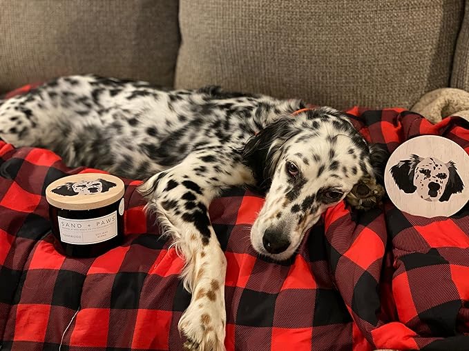 Sand + Paws Scented Candle - Apple Spice - Additional Scents and Sizes –Luxurious Air Freshening Jar Candles Neutralize pet Odors and Enhance Home décor – 100% Cotton Lead-Free Wicks - 21 oz