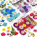 CONVELIFE Dried Flowers for Resin, 120pcs Natural Flowers and Leaves Compressed, Vacuum Packed DIY Dried Flowers for Epoxy, Jewelry, Candles, Soap, Nail Production